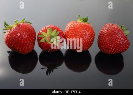 Four fresh strawberries on a glossy black surface with natural reflections, showcasing vibrant red color and detailed texture. Stock Photo