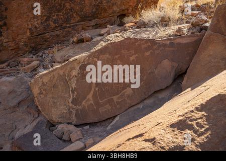 Depictions of animals on a rock slab, petroglyphs, rock engravings ...