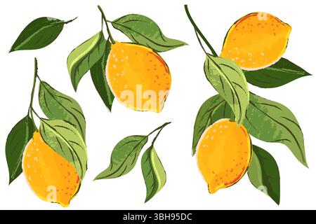 Lemon citrus tropical fruits set. Vector watercolor hand drawn illustration. Lime harvest on branch. Citric isolated vintage print design elements Stock Vector