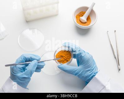 Scientist hands taking turmeric or curcuma for analizing in the laboratory Stock Photo