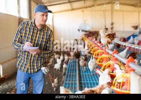 Serious European man farmer taking notes while checking chickenhouse Stock Photo