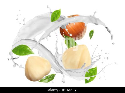 Nut milk splash with hazelnuts and green leaves in air on white background Stock Photo