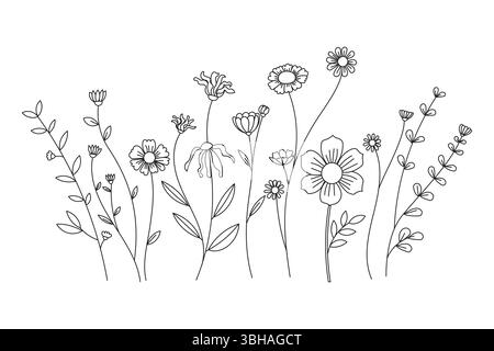 Line art illustration shows various kinds of flowers on white background in a minimalistic botanical style. Stock Vector