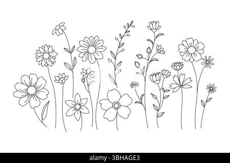 Line art illustration of various wildflowers and botanicals creating a whimsical meadow feel nature. Stock Vector