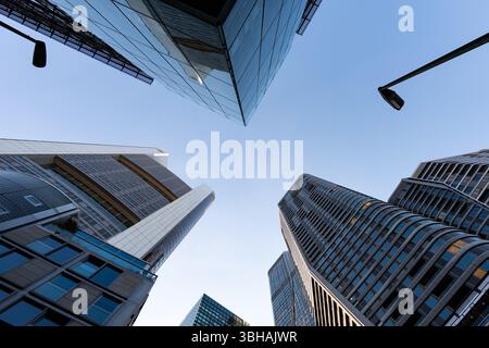 Skyscrapers in Frankfurt, frog perspective, black and white Stock Photo ...