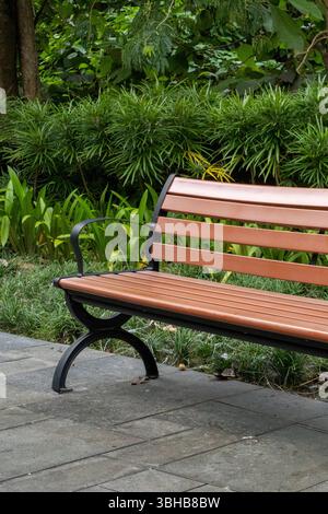 Wooden bench sits in front of a bush. The bench is empty and the bush ...
