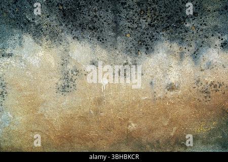Mold and lichen on old wet cement wall as background Stock Photo