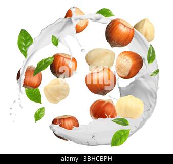 Nut milk splash with hazelnuts and green leaves in air on white background Stock Photo