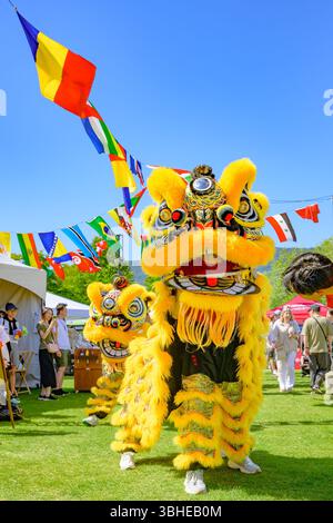Hon Hsing Athletic Club Lion dance, West Vancouver Community Cultural Fest, Ambleside Park, West Vancouver, British Columbia, Canada Stock Photo