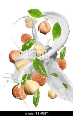 Nut milk splash with hazelnuts and green leaves in air on white background Stock Photo