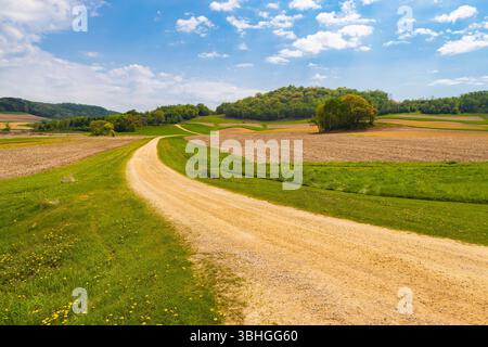 A peaceful road cutting through vibrant green farmland under a clear sky Stock Photo