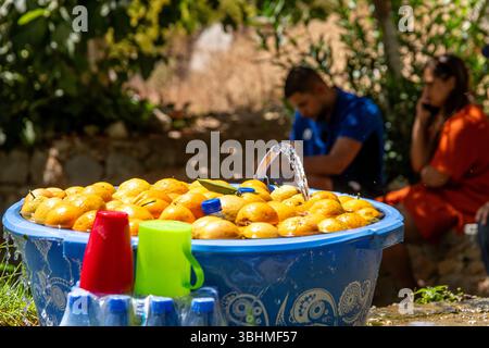 Chefchaouen, Chefchaouen - Morocco - 08-20-2024; A blue plastic container filled with oranges, with water flowing from a pipe, surrounded by cups and Stock Photo