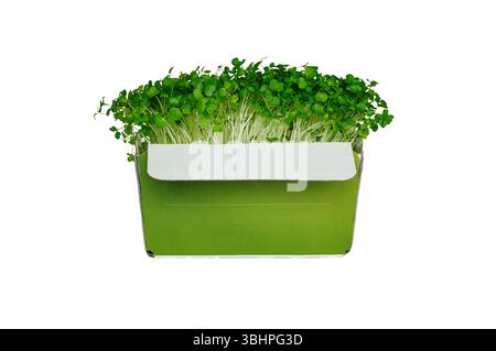 Broccoli sprouts isolated on white background Stock Photo