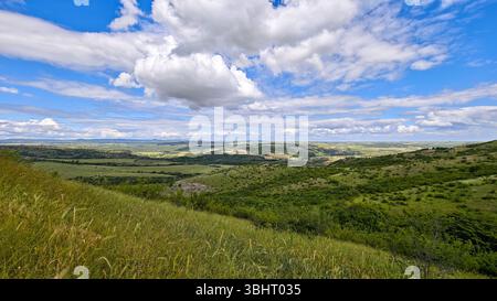 Vast hilly landscape with lush green fields under a dramatic cloudy sky. Rolling hills stretch into the distance. Stock Photo