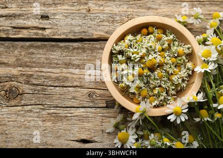 Dry chamomiles in bowl and fresh flowers on wooden table, top view. Space for text Stock Photo