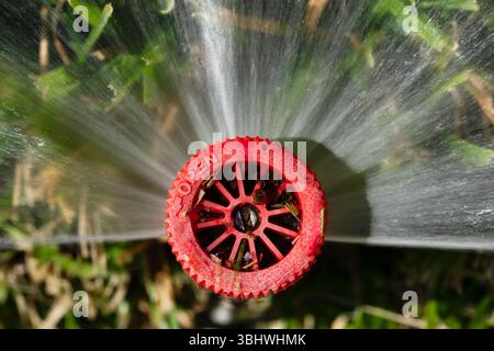 Overhead close up of a in-ground sprinkler head Stock Photo