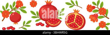 Pomegranate set, whole and half fruits with seeds, branches, green leaves, pomegranate flowers. flat style, isolated icons. For digital and print projects, packaging, greeting cards, botanical posters Stock Vector
