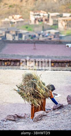 A local woman carries a large bundle of sticks on her back in a village in the Toubkal National Park, High Atlas Mountains, Morocco, north Africa Stock Photo