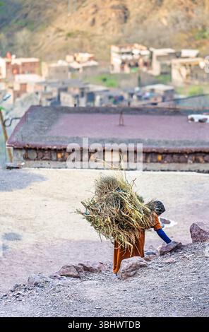 A local woman carries a large bundle of sticks on her back in a village in the Toubkal National Park, High Atlas Mountains, Morocco, north Africa Stock Photo