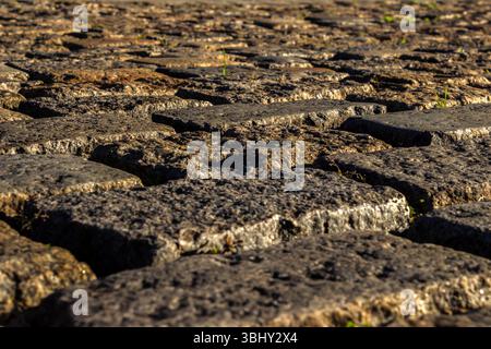 Detailed close views on cobblestone streets and sidewalks in different perspectives, with small green plants in a city in Brazil Stock Photo