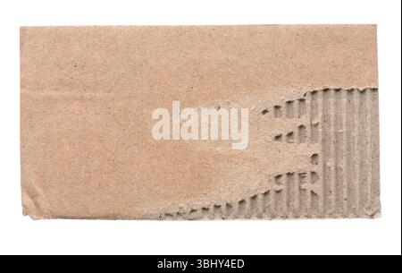 Torn Piece of Corrugated Cardboard with Exposed Inner Layer Stock Photo