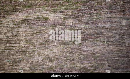 Weathered Green Wooden Plank Texture Background with Rustic Painted ...