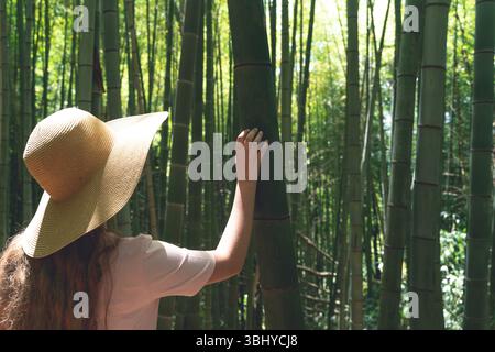Back view of a girl with long wavy hair and a straw hat standing in a dense bamboo forest. She is wearing a light pink dress and looking up at the towering bamboo stalks surrounding her. The sunlight filters through the green canopy, creating a peaceful and immersive atmosphere. Captures the essence of nature exploration, mindful travel, and eco tourism in Asia.  Stock Photo