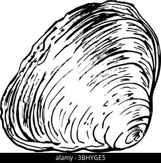 Detailed black and white clam illustration with open shell and visible ...