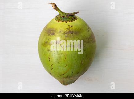 Fresh green young coconuts on a light wooden background, viewed from the top. These coconuts are prized for their sweet water and very tender, nutriti Stock Photo