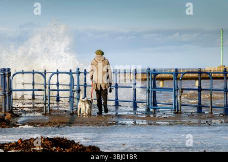 man  in coat & hat walking dog on coastal pathway amble harbour with waves crashing against the blue railings under a clear sky. Stock Photo