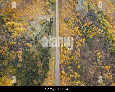 Aerial view of the Andes mountains in Mendoza, Argentina showcasing vibrant autumn foliage with a long road cutting through the landscape, highlightin Stock Photo