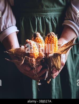 Close-up of hands holding ripe corn cobs with husks in a warm, rustic setting. The vibrant orange and yellow kernels contrast beautifully with the bac Stock Photo