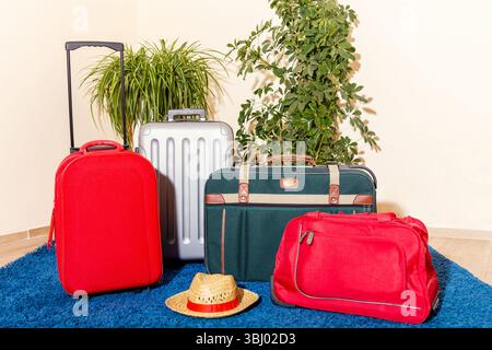 A collection of vibrant travel suitcases stands on a blue carpet, framed by green houseplants. This colorful arrangement captures the essence of trave Stock Photo