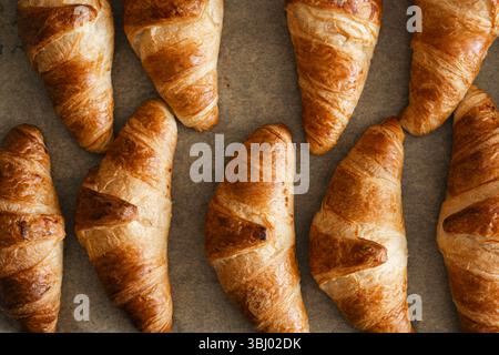A high angle view of freshly baked homemade croissants placed on a baking sheet. Their golden brown crusts glisten, showcasing the perfect flaky textu Stock Photo