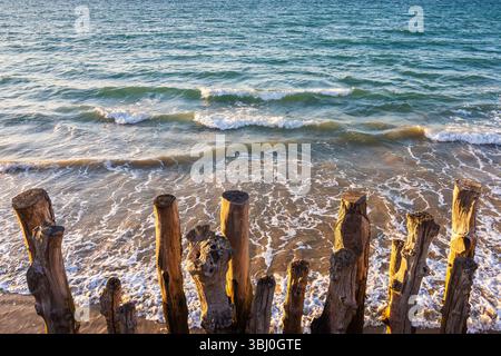 Weathered wooden breakwaters facing the sea at sunset in Saint-Malo, Brittany. Warm light, soft waves and sand on the Atlantic coast. Ideal for backgr Stock Photo