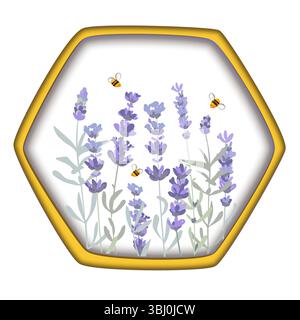 Lavender flowers and bees in a honey comb isolated composition. Beekeeping products packaging design element. Hand drawn vector illustration Stock Vector
