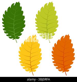 Set of green, yellow and red leaves isolated on white background. Vector illustration of autumn leaves Stock Vector