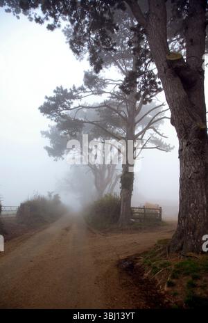 Take me Home Country Road, Foggy Lanes around my Shirelands: Back Lanes Near Asterton, South Shropshire, West Midlands EnglandFoggy Stock Photo