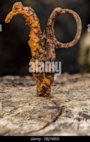Rusty weathered folding scissors on a stump; focus stacked macrophotography captured in a farm in the eastern Andean mountains of central Colombia, Stock Photo