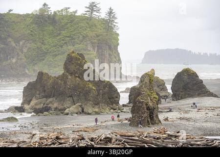 Rocks and driftwood on the beach under a cloudy sky with a small island in the background, Ruby Beach, Olympic National Park, Washington, USA, North A Stock Photo
