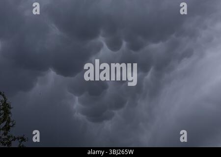 Ominous mammatus clouds form in the sky, signaling an approaching storm. The unusual pouch-like structures and dark gray tones create a powerful and e Stock Photo