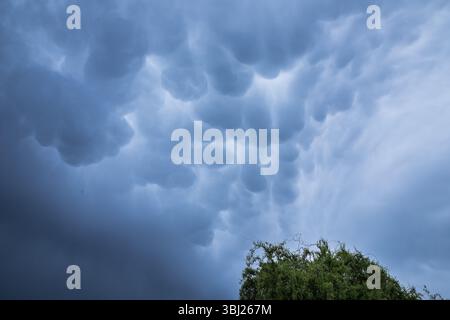 Ominous mammatus clouds form in the sky, signaling an approaching storm. The unusual pouch-like structures and dark gray tones create a powerful and e Stock Photo