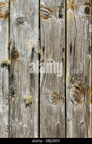 Close-up view of weathered wooden planks showing intricate textures and natural colors, highlighting the beauty of aged wood outdoors. Stock Photo