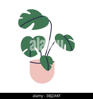 Monstera plant with large split leaves in decorative pot, tropical green indoor houseplant for home or office, natural interior decor element. Stock Vector