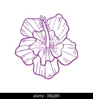 Hand drawn tropical hibiscus flower with leaves. Sketch florals on ...