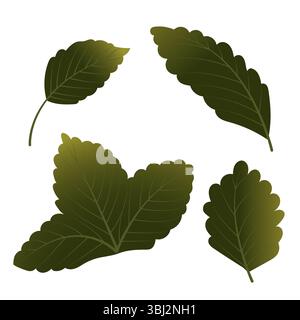 Set of strawberry leaves. Vector illustration isolated on white background. Stock Vector