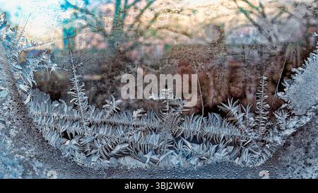 Frosted Windows Stock Photo