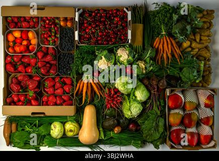 Flat lay still life of assorted fruits, vegetables, and berries – colorful food composition from above, seasonal harvest and farm-to-table concept Stock Photo