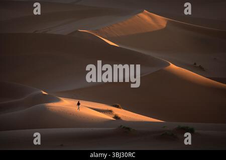 A lone figure is set as scale in the large red sand dunes of Sossusvlei, Namib Naukluft National Park, Namibia at sunrise. Stock Photo