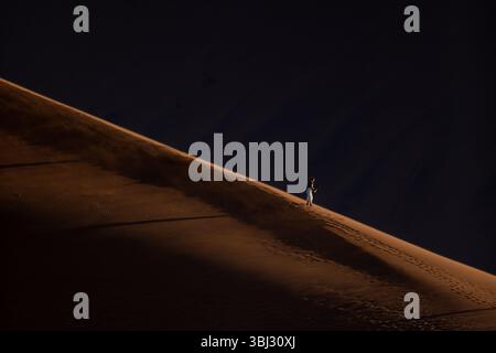A lone figure is set as scale in the large red sand dunes of Sossusvlei, Namib Naukluft National Park, Namibia at sunrise. Stock Photo